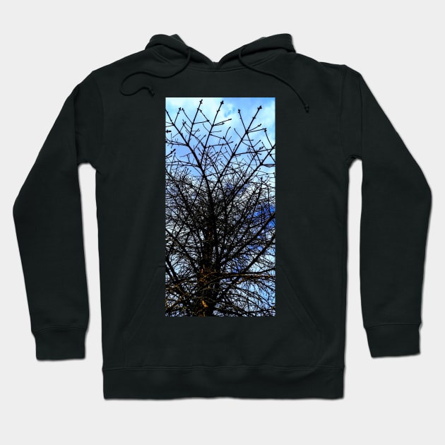 Under the Trees Cont'd Hoodie by amararob